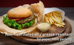 Development of a non-fluorinated oil / grease resistant